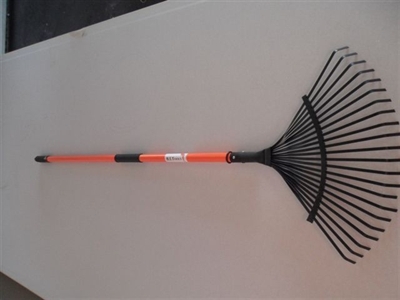 ����� ���� ���� ����